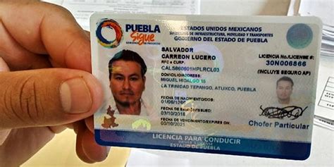 licencia de conducir puebla citas|Licencia de conducir PUEBLA ️【2024